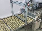 LINEA AUTOMATICA PER LA PRODUZIONE DI: TARALLI, FRISELLE E GRISSINI