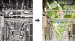 DUBAI TRANSIENT CITY Anatomia di un fenomeno post-urbano - AGATH&Oacute;N