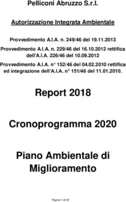 Report 2018 Cronoprogramma 2020 Piano Ambientale di Miglioramento
