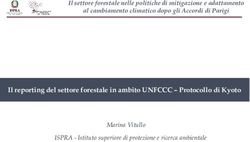 Il reporting del settore forestale in ambito UNFCCC - Protocollo di Kyoto - Rete ...