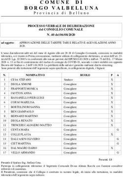 COMUNE DI BORGO VALBELLUNA - Provincia di Belluno - Dipartimento delle Finanze