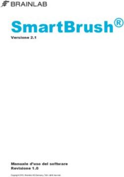 SmartBrush Versione 2.1 - Manuale d'uso del software Revisione 1.0 - Brainlab User Guides