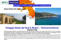 Villaggio Stella del Sud & Resort - Palinuro(Cilento)