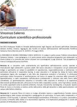 Vincenzo Salerno Curriculum scientifico-professionale