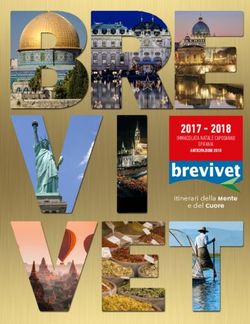 2017 2018 itinerari della Mente e del Cuore - IMMACOLATA NATALE CAPODANNO EPIFANIA - Brevivet