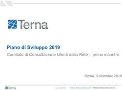 Piano di Sviluppo 2019 - Comitato di Consultazione Utenti della Rete - primo incontro