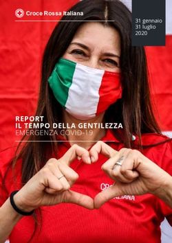 REPORT IL TEMPO DELLA GENTILEZZA - EMERGENZA COVID-19 - Croce Rossa Italiana