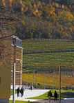 AGRICOLTURA ALIMENTAZIONE AMBIENTE 2015/2016 - Fondazione ...