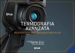 TERMOGRAFIA AVANZATA FLIRSerie Exx - REINVENTATA DALL'IMPUGNATURA IN SU - SCV SA