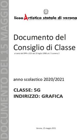 Documento del Consiglio di Classe - Liceo Artistico Statale di ...