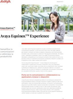 AVAYA EQUINOXTM EXPERIENCE - AVAYA EQUINOXTM