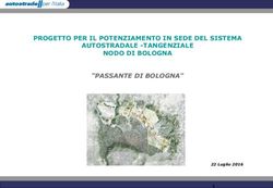 PROGETTO PER IL POTENZIAMENTO IN SEDE DEL SISTEMA AUTOSTRADALE -TANGENZIALE NODO DI BOLOGNA - "PASSANTE DI BOLOGNA"