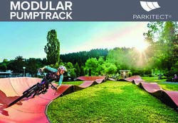MODULAR PUMPTRACK - Flying Metal Crew
