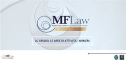 LO STUDIO, LE AREE DI ATTIVIT&Agrave;, I NUMERI - MFLaw