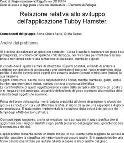 Relazione relativa allo sviluppo dell'applicazione Tubby Hamster.