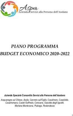 PIANO PROGRAMMA BUDGET ECONOMICO 2020-2022