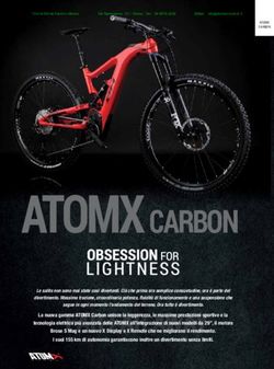 ATOMX CARBON - Fashion Motors