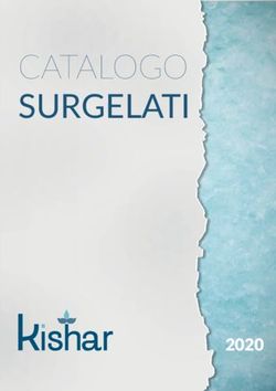 SURGELATI CATALOGO 2020 - Kishar