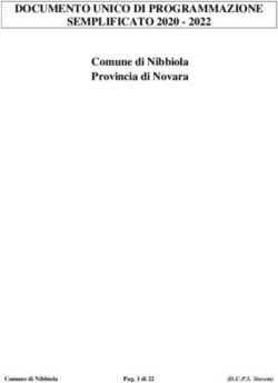 DOCUMENTO UNICO DI PROGRAMMAZIONE SEMPLIFICATO 2020 2022 - Comune di Nibbiola Provincia di Novara