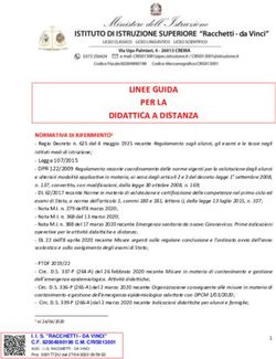 LINEE GUIDA PER LA DIDATTICA A DISTANZA - Racchetti ...