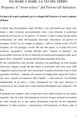 DA MARE A MARE, LA VIA DEL FERRO - Proposta: il "treno veloce" dal Tirreno all'Adriatico