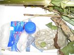 IC Garibaldi - Capolona - Progetto sui cambiamenti climatici L'ARNO.. DENTRO L'ACQUA E INTORNO ALL'ACQUA. - istituto comprensivo g ...