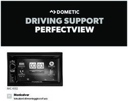DRIVING SUPPORT PERFECTVIEW - Dometic.com