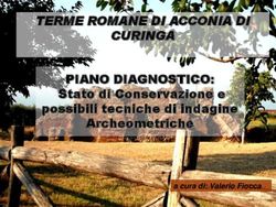 TERME ROMANE DI ACCONIA DI CURINGA - PIANO DIAGNOSTICO: a cura di: Valerio Fiocca