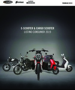 E-SCOOTER & CARGO SCOOTER - LISTINO CONSUMER 2019 FEBBRAIO 2019