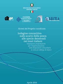 Indagine conoscitiva sullo scarto della pesca alle specie demersali nei mari italiani - Sintesi del Progetto coordinato - nisea