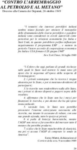 CONTRO L'ARREMBAGGIO AL PETROLIO E AL METANO