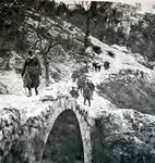 Dai Gruppi di Combattimento al nuovo Esercito Italiano