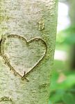 Tutto ci&ograve; che il cuore desidera - Walter Hess - www.egk.ch - Testa i vantaggi