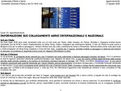 INFORMAZIONI SUI COLLEGAMENTI AEREI INTERNAZIONALI E NAZIONALI