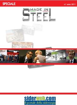 SPECIALE n.1 anno 2011 - Siderweb