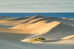 MAURITANIA Nel deserto dei Mauri Lungo le coste e nello sconosciuto deserto della Mauritania - I Viaggi di Maurizio Levi