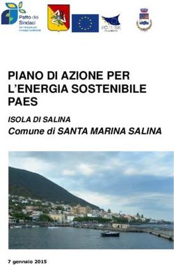 PIANO DI AZIONE PER L'ENERGIA SOSTENIBILE PAES - Comune di SANTA MARINA SALINA ISOLA DI SALINA - Covenant of Mayors