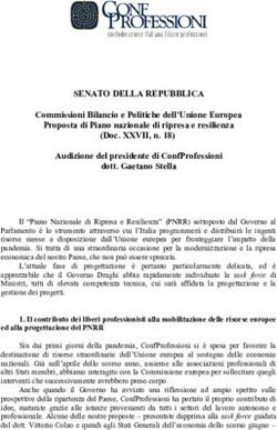 SENATO DELLA REPUBBLICA - Commissioni Bilancio e Politiche dell'Unione Europea Proposta di Piano nazionale di ripresa e resilienza (Doc. XXVII, n. 18)