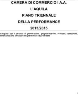 CAMERA DI COMMERCIO I.A.A. L'AQUILA PIANO TRIENNALE DELLA PERFORMANCE - 2013/2015 Adeguata con i processi di pianificazione, programmazione ...
