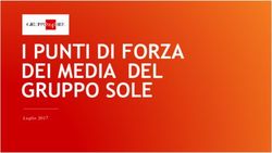 I PUNTI DI FORZA DEI MEDIA DEL GRUPPO SOLE - Primaonline