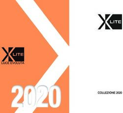 COLLEZIONE 2020 - XLITE srl