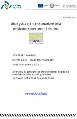 FEGFEGFEGFEG Linee guida per la presentazione della rendicontazione tramite il sistema