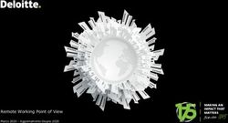 Remote Working Point of View - Deloitte