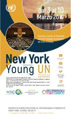BANDO DI PARTECIPAZIONE AL PROGRAMMA FORMATIVO NEW YORK YOUNG UN 2019 - WSC Italia