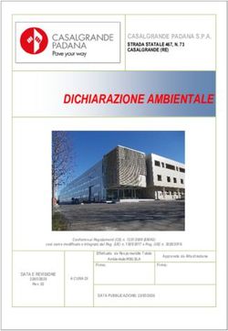 DICHIARAZIONE AMBIENTALE - Casalgrande Padana