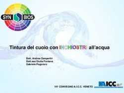 Tinturadelcuoiocon all'acqua - Dott. Andrea Zamperlin Dott.ssa Giulia Fontana Gabriele Pegoraro VII CONVEGNO A.I.C.C. VENETO - INK FOR LEATHER