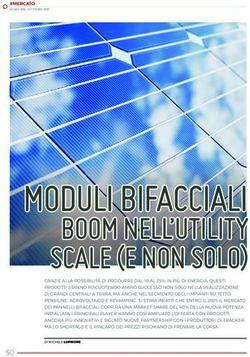 MODULI BIFACCIALI BOOM NELL'UTILITY SCALE (E NON SOLO) - Solare B2B