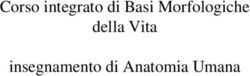 Corso integrato di Basi Morfologiche della Vita insegnamento di Anatomia Umana - Unife
