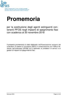 Promemoria per la sostituzione degli agenti estinguenti con-tenenti PFOS negli impianti di spegnimento fissi con scadenza al 30 novembre 2018 - SES
