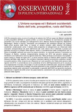 L'Unione europea ed i Balcani occidentali. Stato dell'arte, prospettive, ruolo dell'Italia - Parlamento Italiano